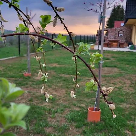 Dom Na Ubocy * Groń